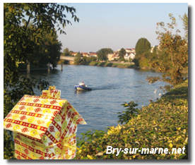immobilier bry sur marne